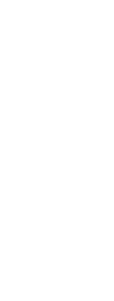 黄金的辉耀四射，美食的香味弥漫。