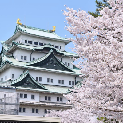 春といえばお花見。 今年の桜は、平年より遅く、3月28日に開花予想され、満開は4月2日頃（愛知県）で最も見頃となっています。 愛知県には、桜の名所と呼ばれる場所が多くありますが、どこに行けばいいかわからない…という方も多いのではないでしょうか？ ということで、今回は、愛知県の桜の名所2カ所と周辺のおすすめグルメを一挙ご紹介。 是非参考にして、美しい桜と共に愛知のご当地グルメをご堪能ください！